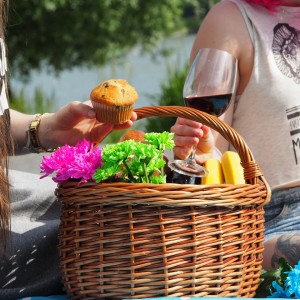 picnic-1456955_1280